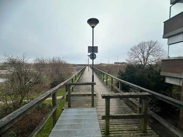 WhatsApp Image 2026-01-29 at 13.26.311.jpeg